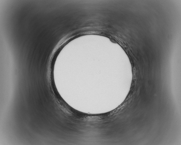 X0000115110150200911241334