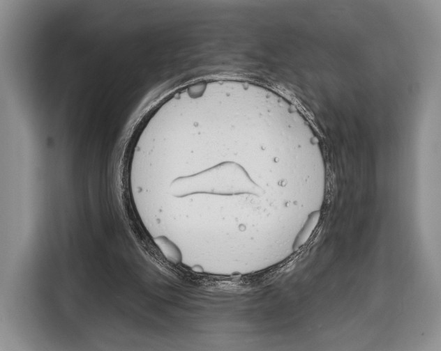 X0000115110151200911241334