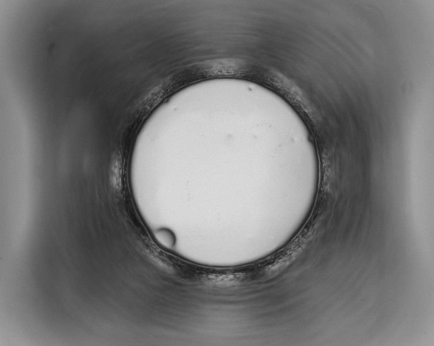 X0000115110161200911241334