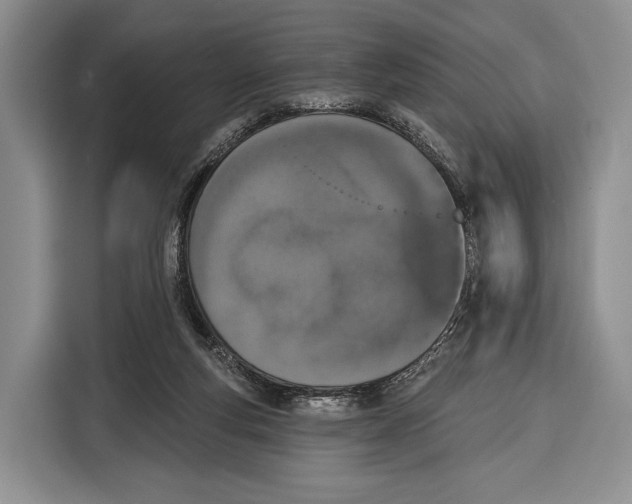 X0000115110163200911241334