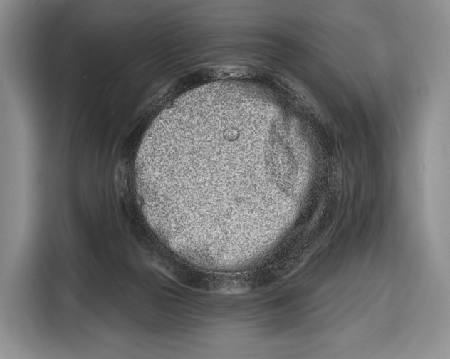 X0000115110169200911241334