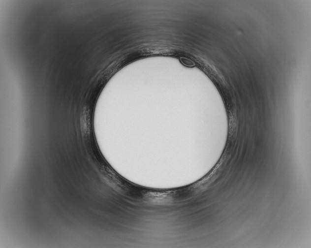 X0000115110170200911241334