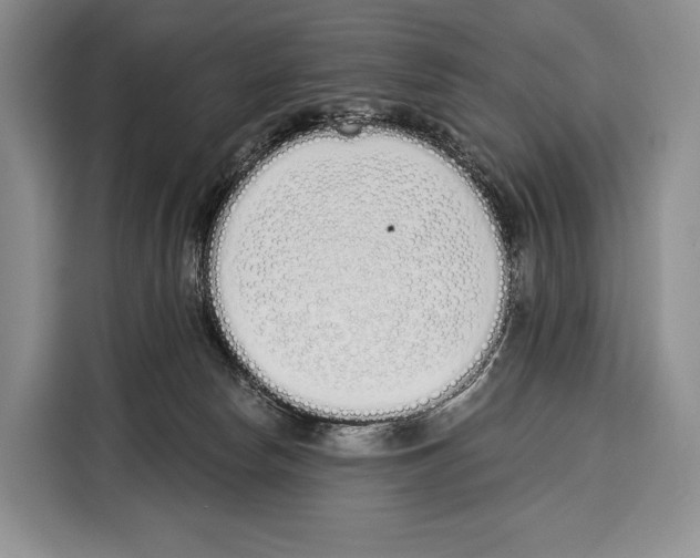 X0000115110178200911241334