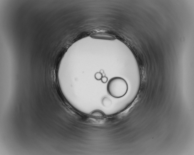 X0000115110182200911241334