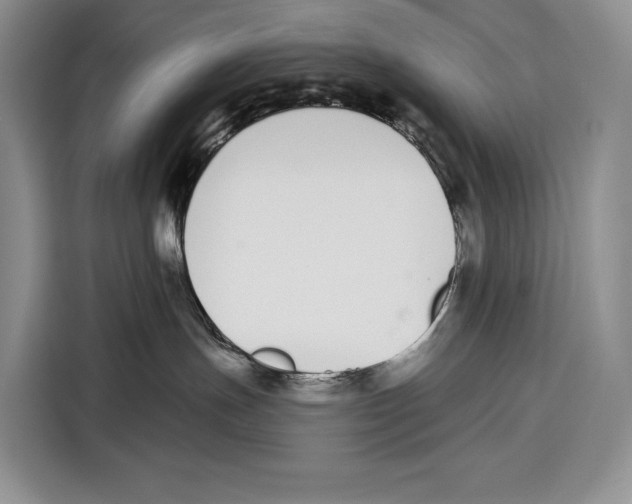 X0000115110191200911241334