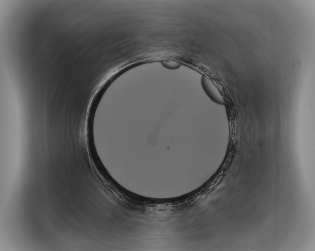 X0000115110196200911241334