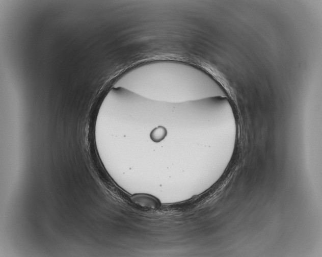 X0000115110201200911241334