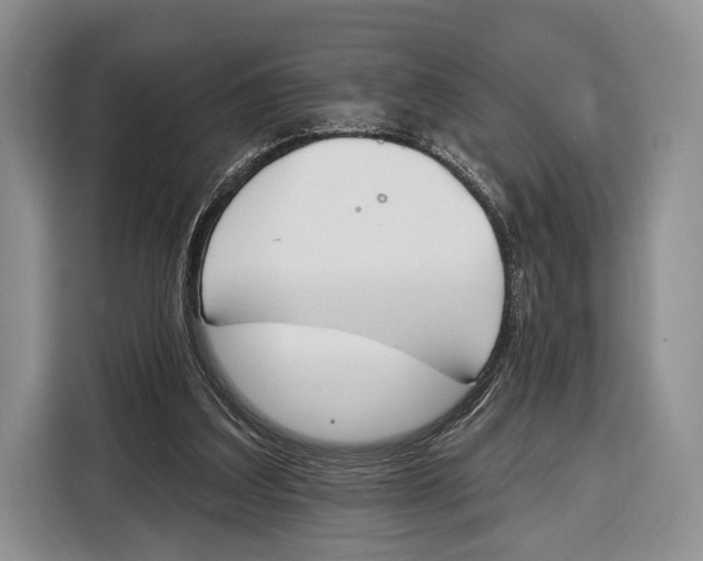 X0000115110203200911241334