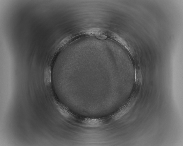 X0000115110205200911241334