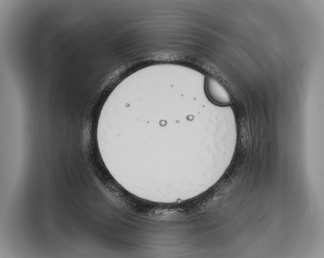 X0000115110208200911241334