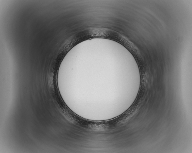 X0000115110209200911241334