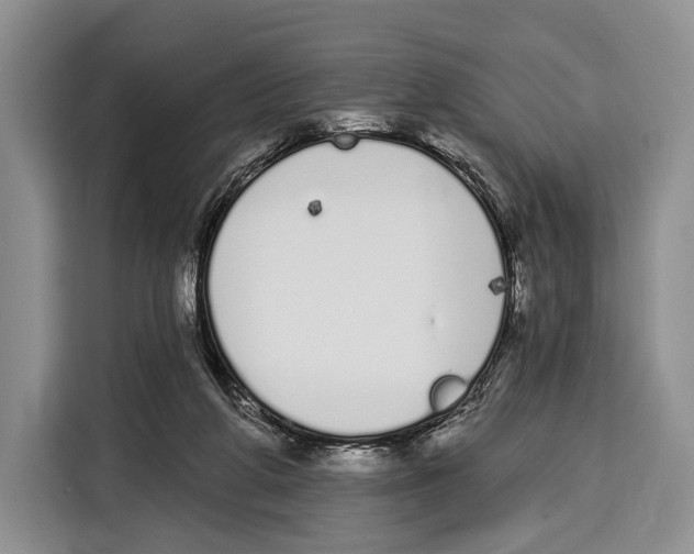 X0000115110210200911241334