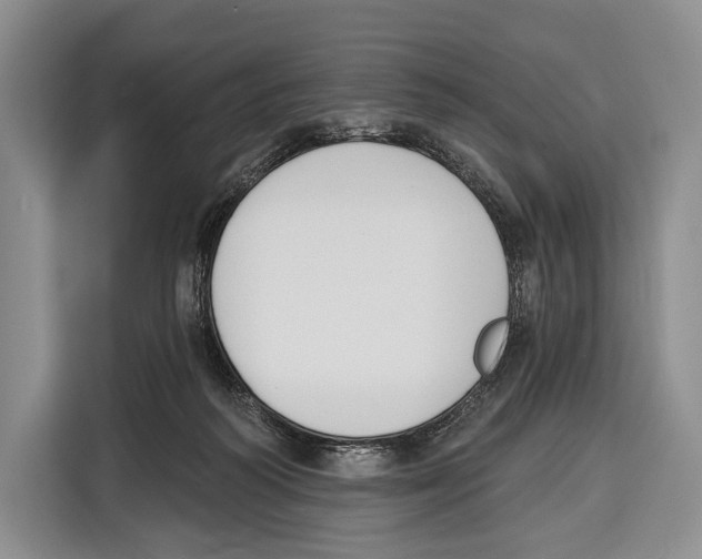 X0000115110218200911241334