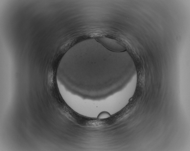 X0000115110219200911241334