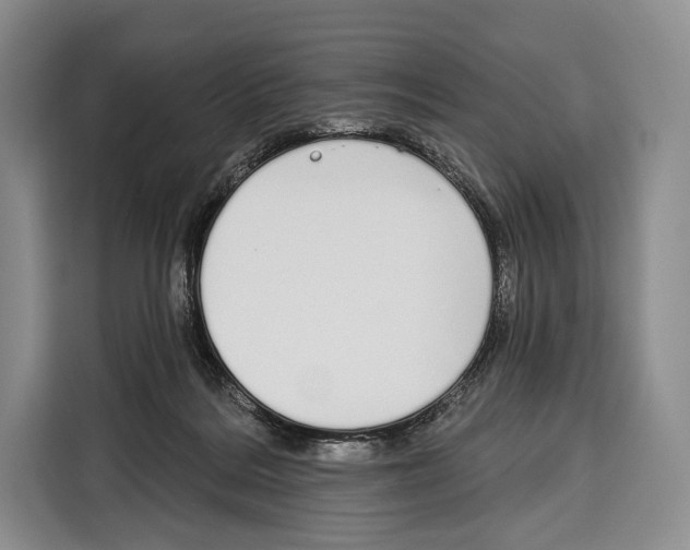 X0000115110220200911241334