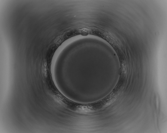 X0000115110223200911241333