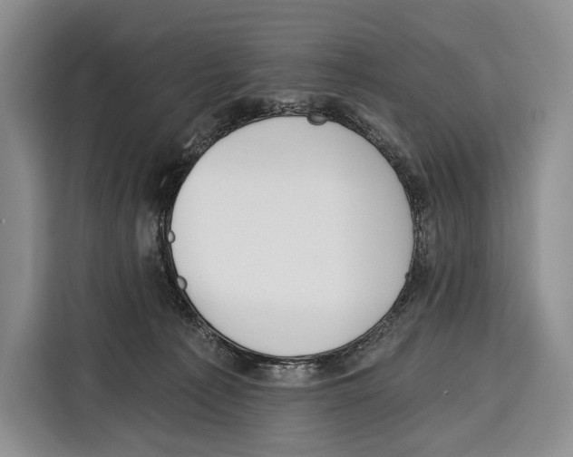 X0000115110225200911241333