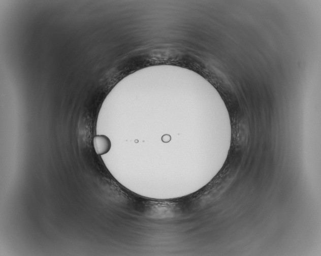 X0000115110226200911241333