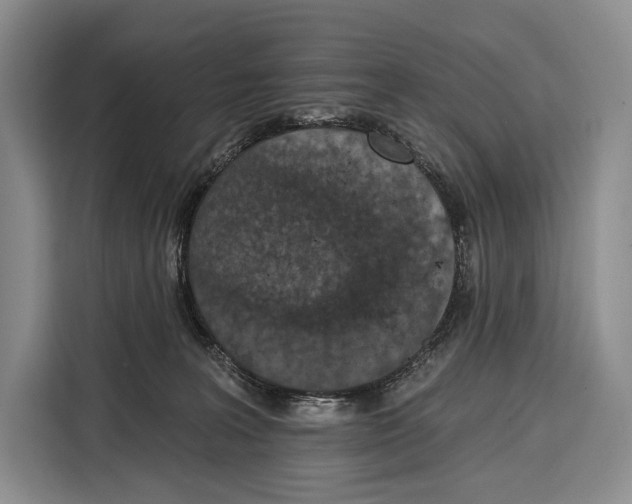 X0000115110227200911241333