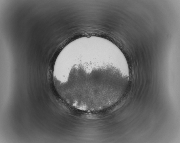 X0000115110228200911241333