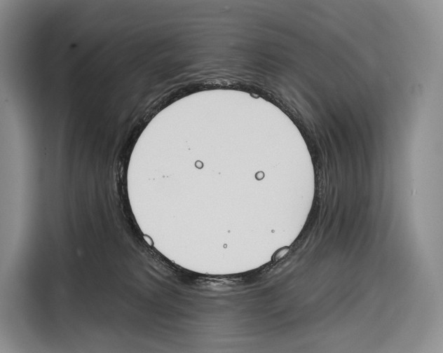 X0000115110229200911241333