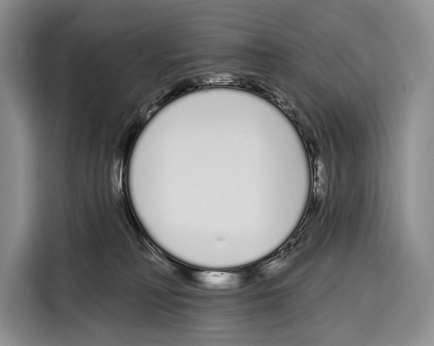 X0000115110230200911241333