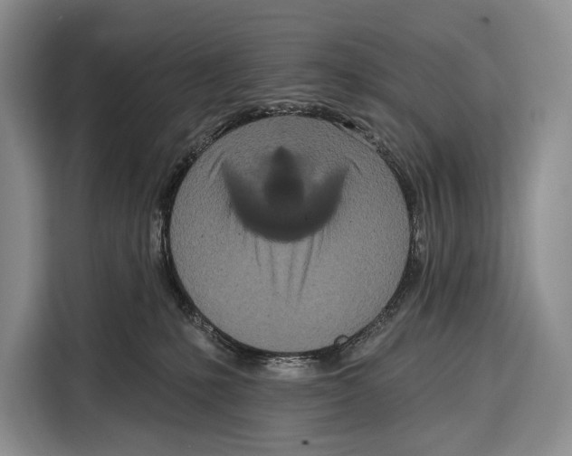 X0000115110231200911241333