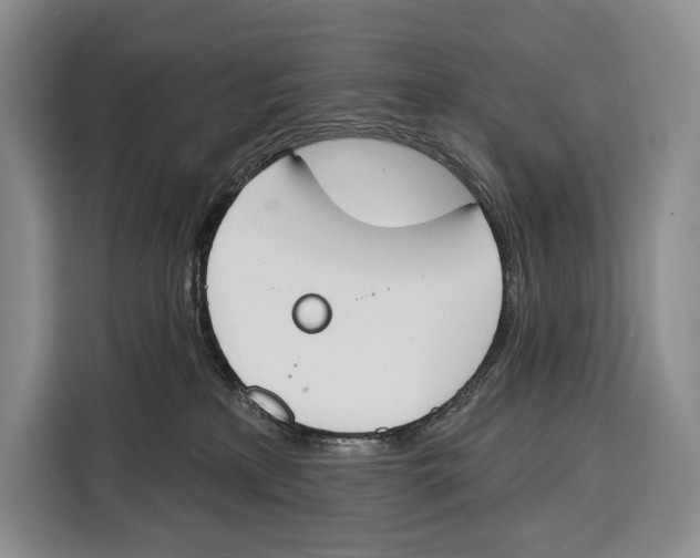 X0000115110233200911241333