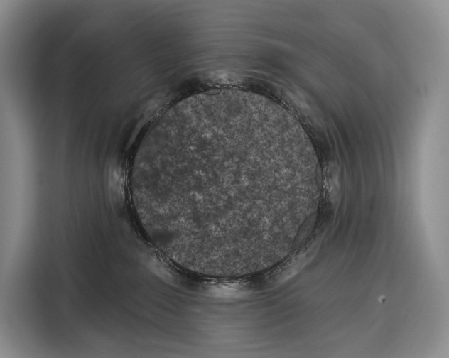 X0000115110235200911241333