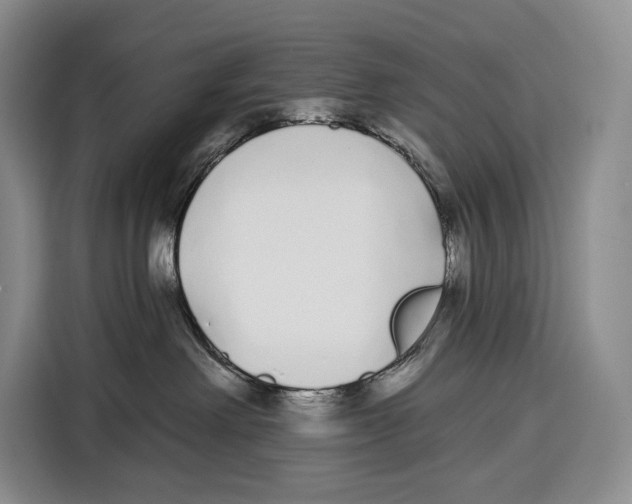 X0000115110238200911241333