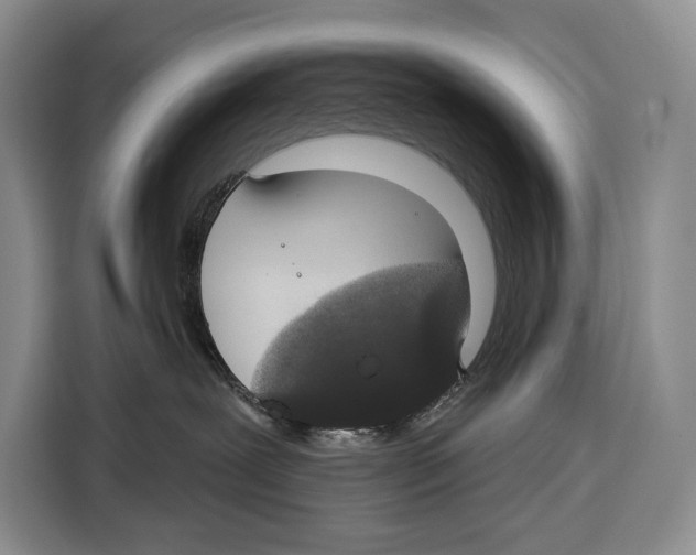 X0000115110239200911241333