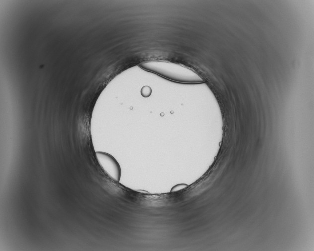 X0000115110240200911241333