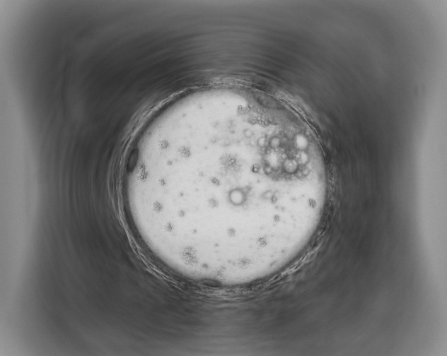 X0000115110241200911241333