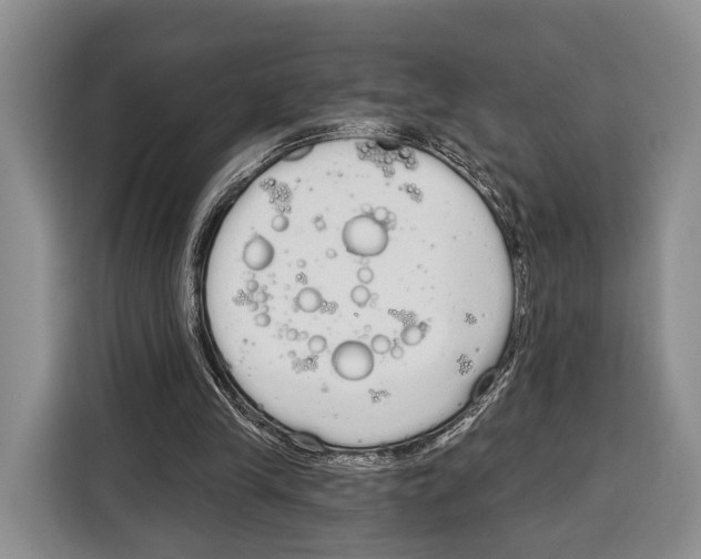 X0000115110245200911241333