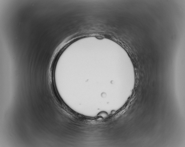 X0000115110246200911241333