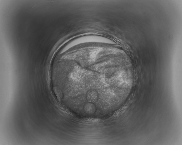 X0000115110247200911241333