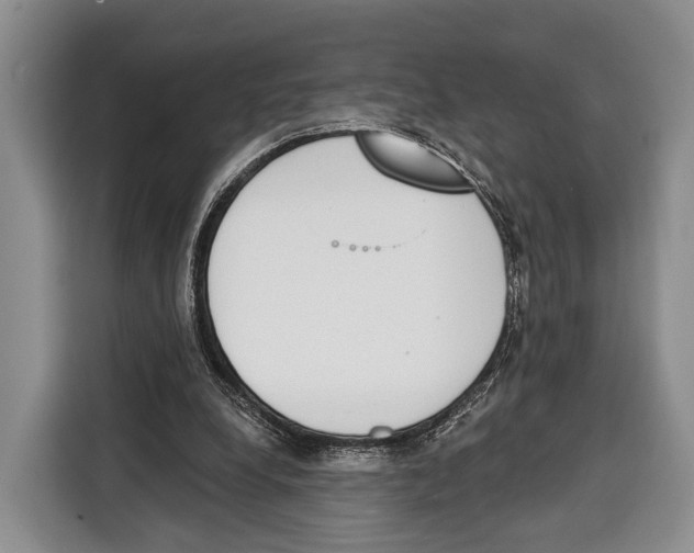 X0000115110248200911241333