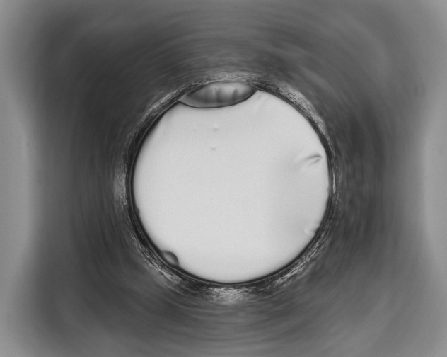 X0000115110249200911241333