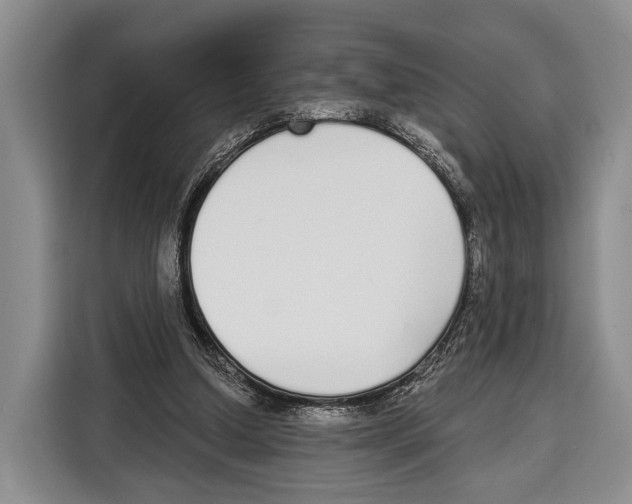 X0000115110250200911241333