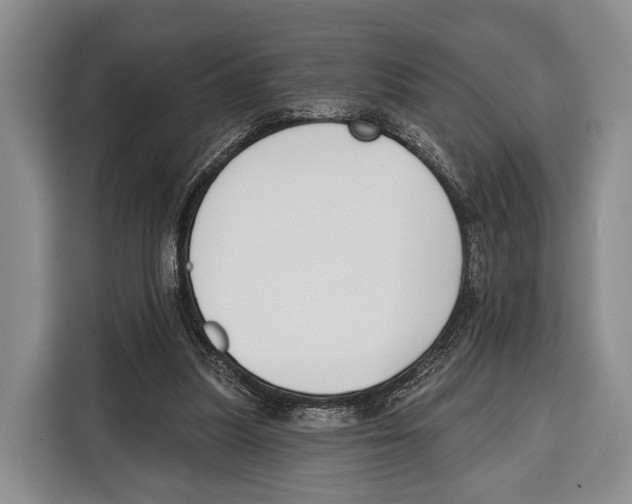 X0000115110251200911241333