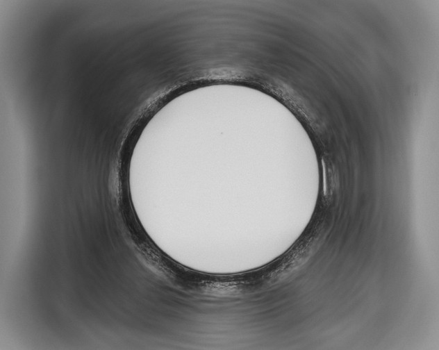 X0000115110252200911241333