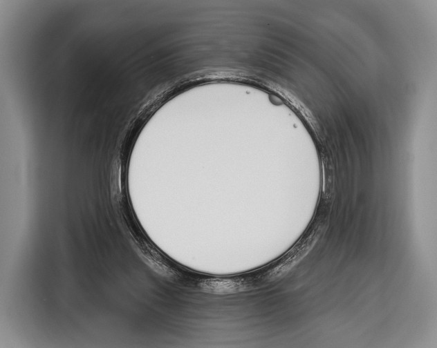 X0000115110253200911241333