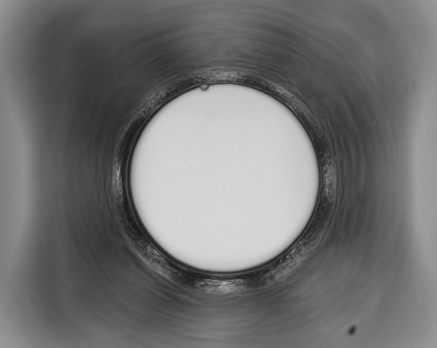 X0000115110254200911241333