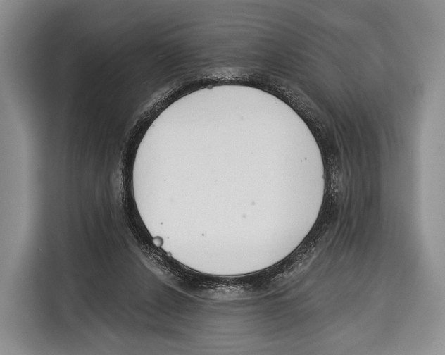 X0000115110256200911241333