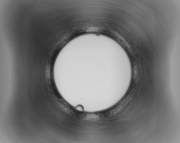 X0000115110257200911241333