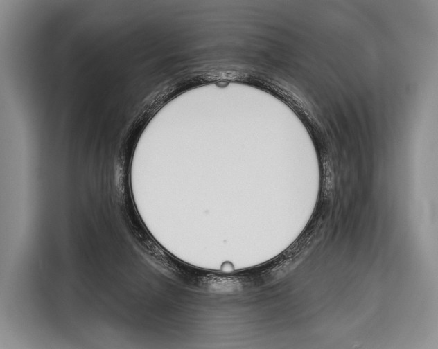 X0000115110258200911241333