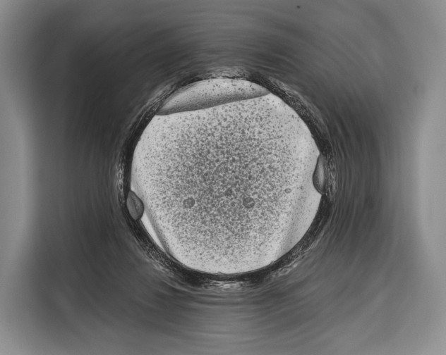 X0000115110260200911241333