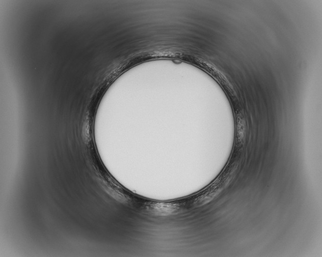 X0000115110261200911241333