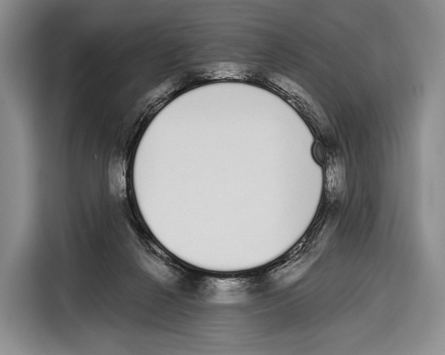 X0000115110264200911241333