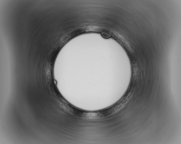 X0000115110265200911241333